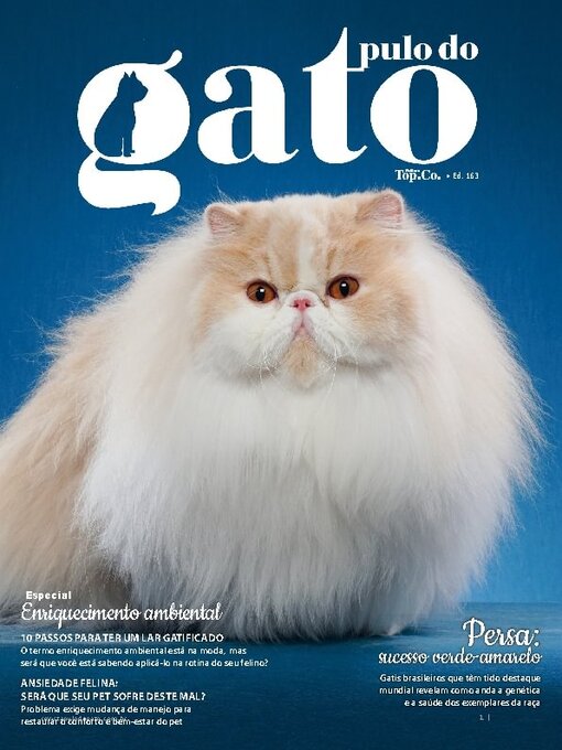 Title details for Pulo do Gato by EDICASE GESTAO DE NEGOCIOS EIRELI - Available